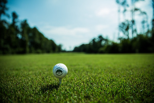 Project Three preview